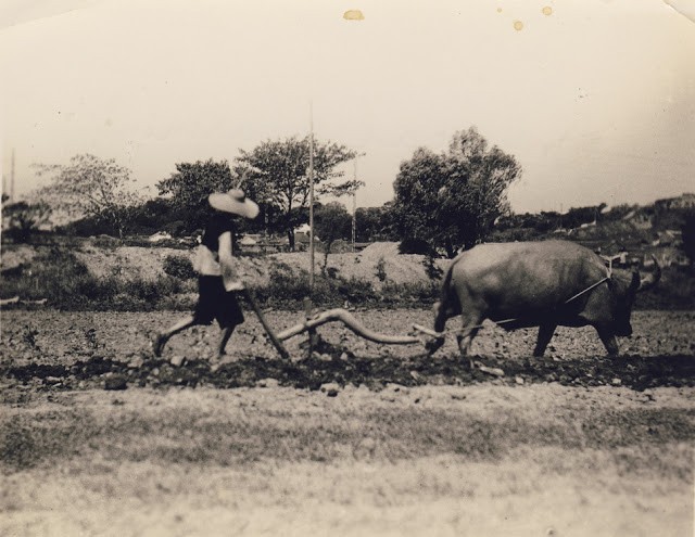 Anh cuc net ve Trung Quoc nhung nam 1930-Hinh-9